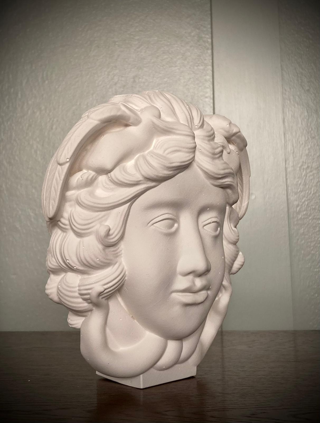 Sculpture bust of Medusa. This piece is a limited edition, signed and numbered