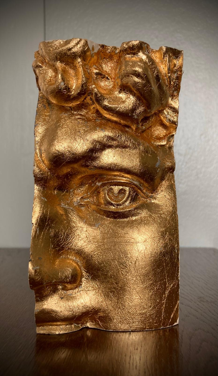 Sculpture Bust of Michelangelo's David, face detail. Signed & Numbered. Limited Edition. Plaster
